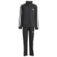 Adidas Παιδικές φόρμες σετ Adicolor Firebird Tracksuit